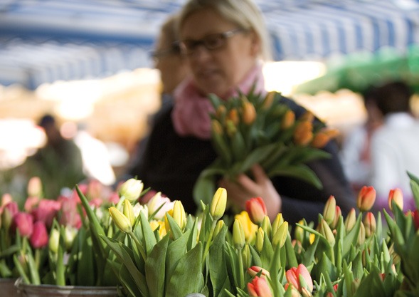 Lörrach Markt bei Bioland Gärtnerei Hoch Reinhard
