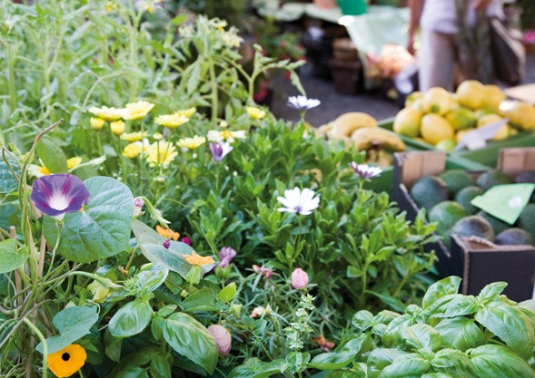 Marktstand in Basel